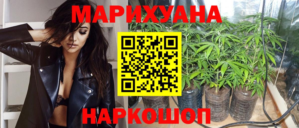 Конопля гибрид Георгиевск